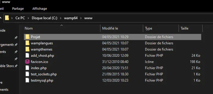wamp use 04